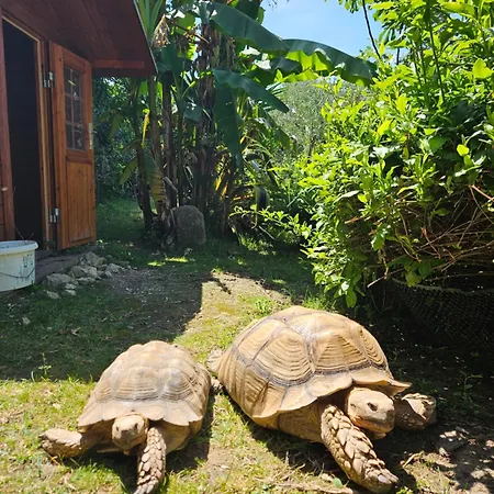 Paradise House At Sea Bed & Breakfast Rab Town