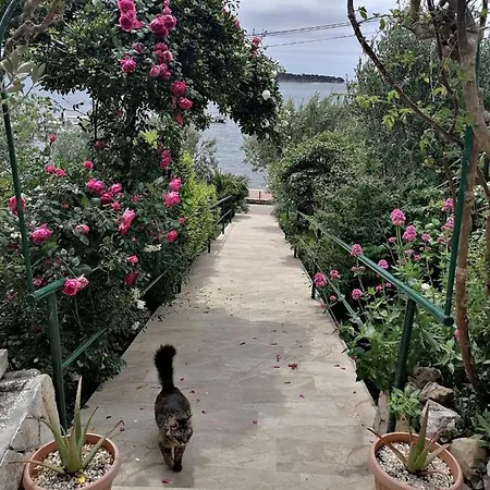 Paradise House At Sea 3* Rab Town