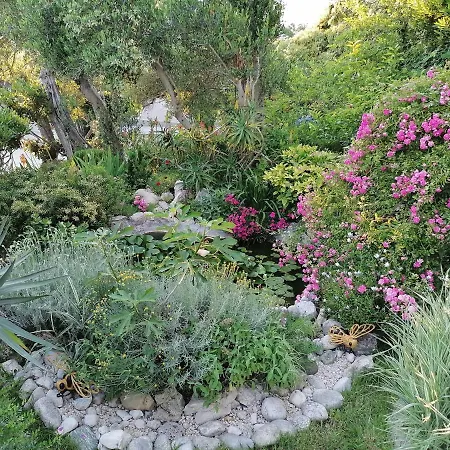Paradise House At Sea Bed & Breakfast